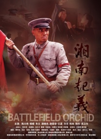 青青操网站